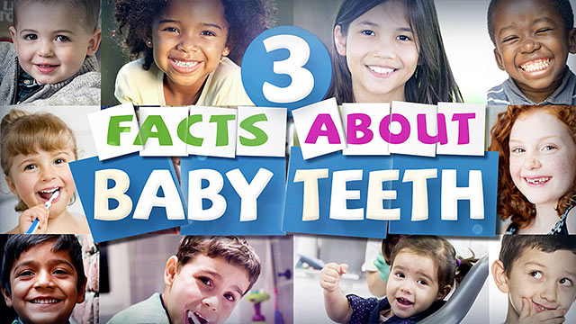 3 Facts About Baby Teeth Video